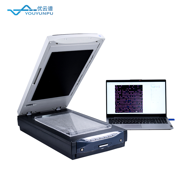 大米外观品质分析仪：让每一粒大米的数据说话